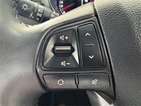 2014 Kia Rio 1.4 Petrol Auto EX