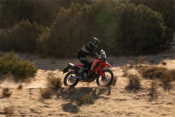 New Honda CRF300LR