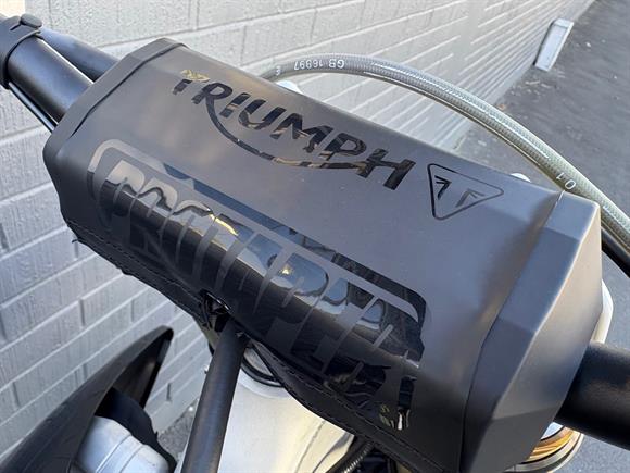 New Triumph TF250X