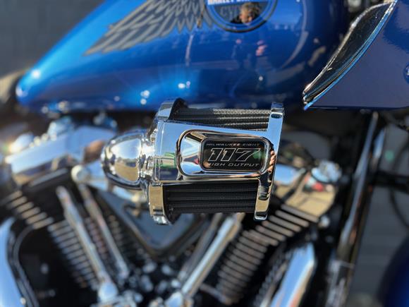 New Harley-Davidson Low Rider ST 117