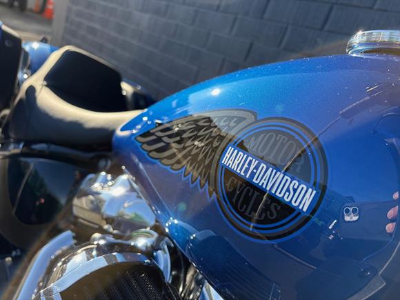 New Harley-Davidson Low Rider ST 117