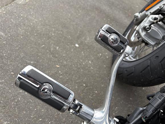 2014 Harley-Davidson Sportster 1200 Custom